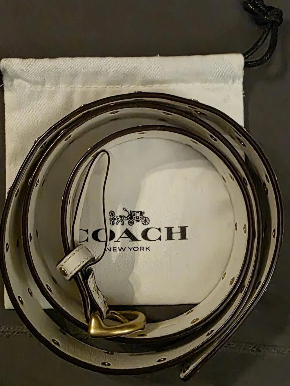 Coach Belt